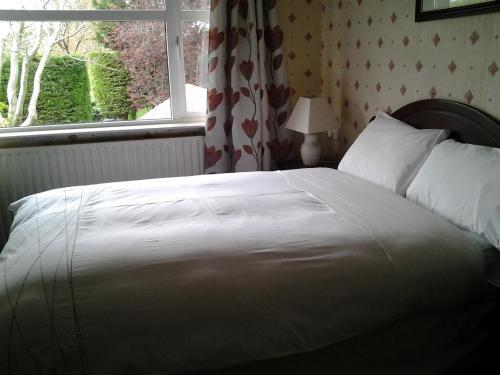 Fotos del hotel - DONNYBROOK LODGE B&B
