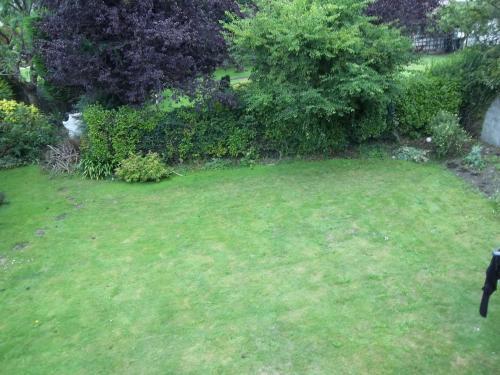 Fotos del hotel - DONNYBROOK LODGE B&B