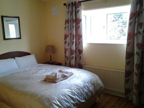 Fotos del hotel - DONNYBROOK LODGE B&B