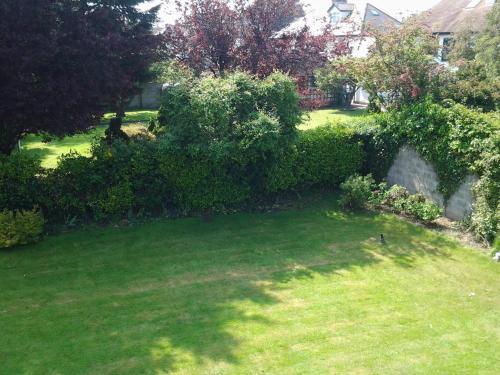 Fotos del hotel - DONNYBROOK LODGE B&B