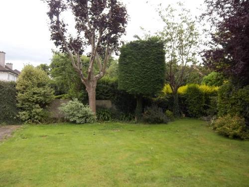 Fotos del hotel - DONNYBROOK LODGE B&B