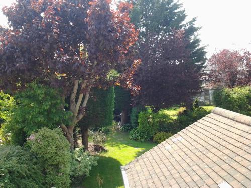 Fotos del hotel - DONNYBROOK LODGE B&B