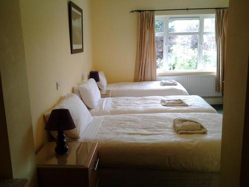 Fotos del hotel - DONNYBROOK LODGE B&B