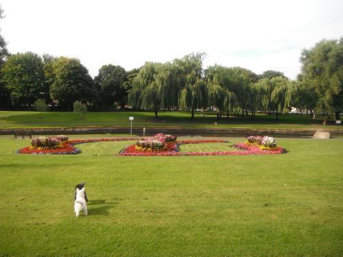 Fotos del hotel - ABBERLEY HOUSE B&B