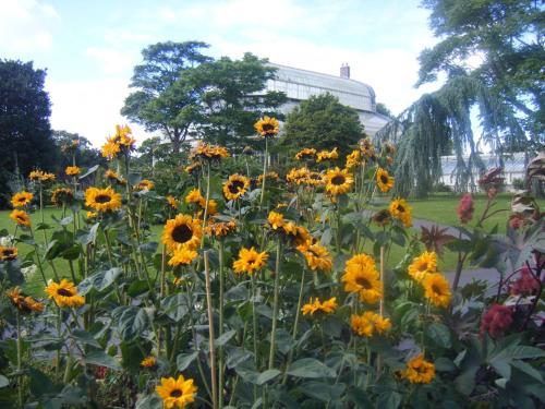 Fotos del hotel - ABBERLEY HOUSE B&B