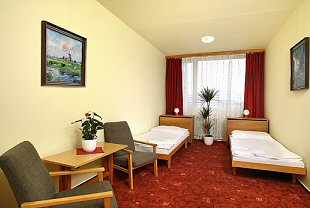 Fotos del hotel - GARNI HOTEL PRAGUE (STANDARD ROOM)