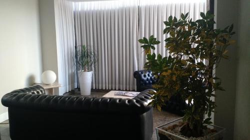 Fotos del hotel - PLAZA SUITE HOTEL