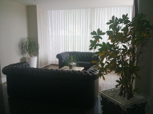 Fotos del hotel - PLAZA SUITE HOTEL