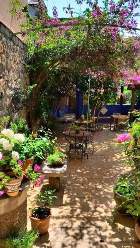 Casa Bougainvillea