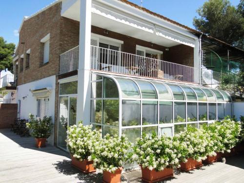 Antonio S House