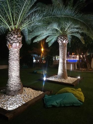Fotos del hotel - Hotel Primavera Park