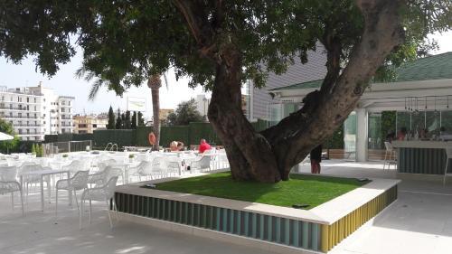Fotos del hotel - Hotel Primavera Park