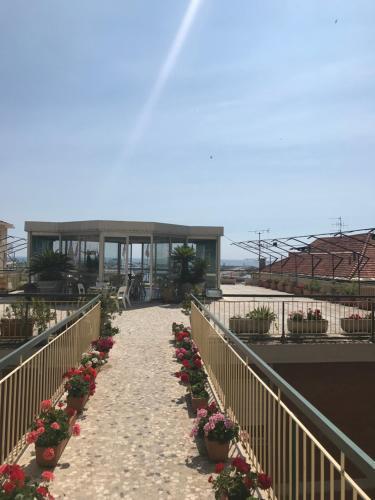 Fotos del hotel - Robinia