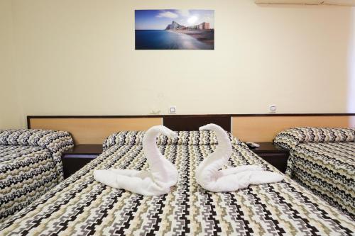 Fotos del hotel - HOSTAL LA CAMPANA