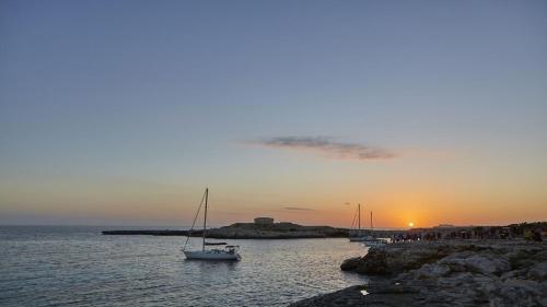 Fotos del hotel - Prinsotel La Caleta