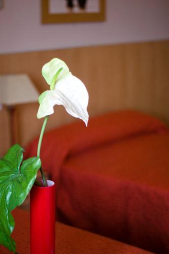 Hotel Las Terrazas (Albolote) desde 38€ - Rumbo