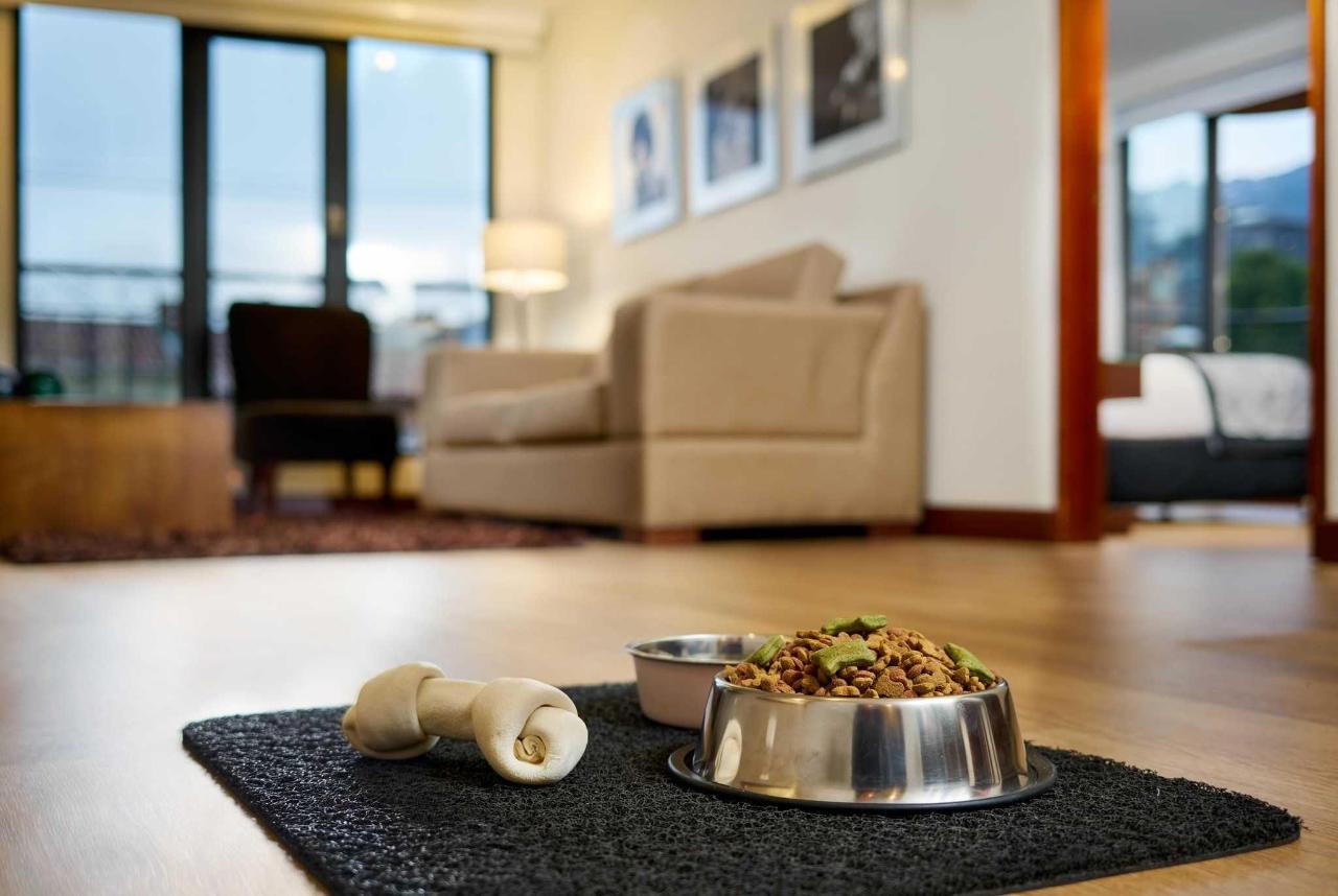 Fotos del hotel - CELEBRITIES SUITES