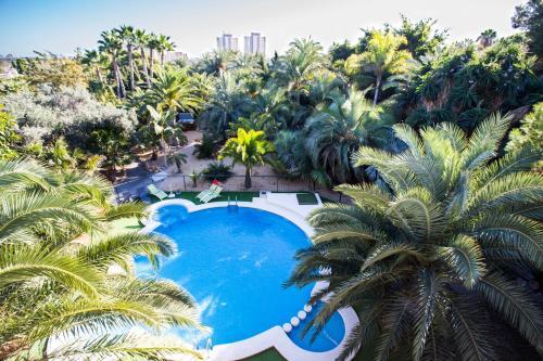 EL PALMERAL DE MADARIA