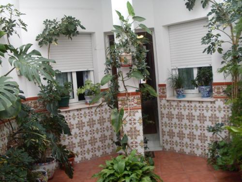 Hostal Andalucia