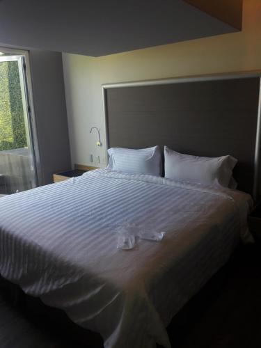 Fotos del hotel - RAMADA BY WYNDHAM MEXICO CITY SANTA FE