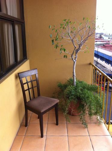 Fotos del hotel - Hotel Novo