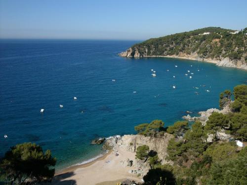 Apartamentos Cala Llevadó