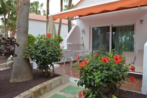 Fotos del hotel - Bahia Calma Beach