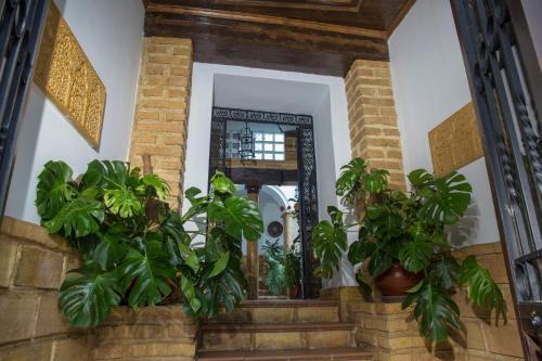 Casa Turística Patio Cordobés