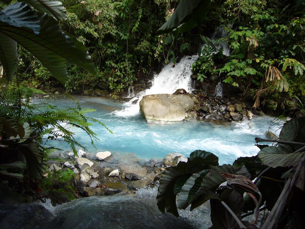Fotos del hotel - BLUE RIVER RESORT&HOT SPRINGS