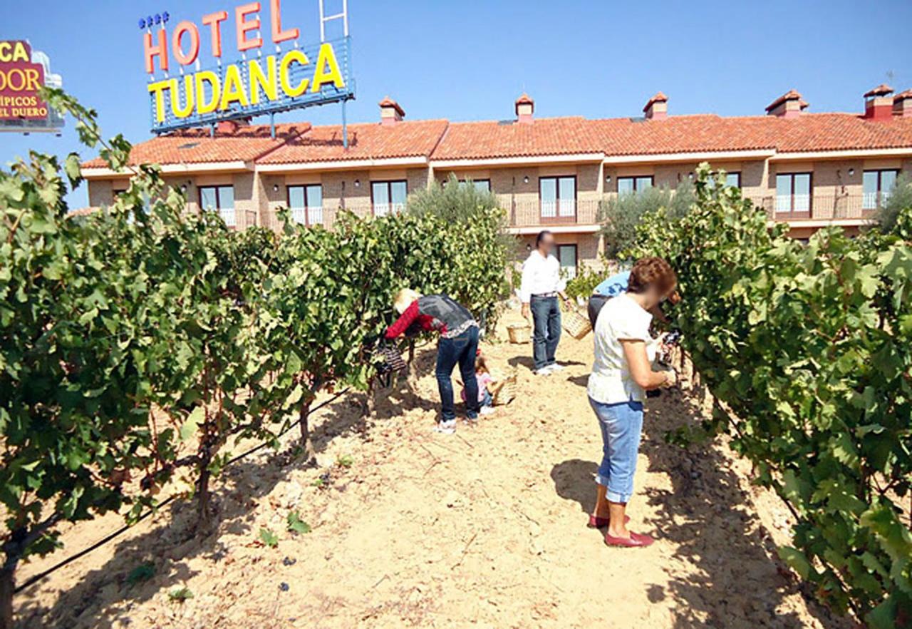 Fotos del hotel - SPA TUDANCA ARANDA