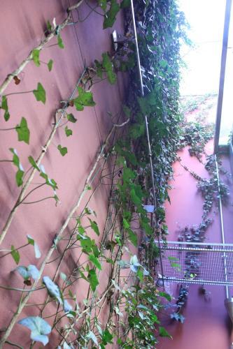 Fotos del hotel - HOTEL VERONA