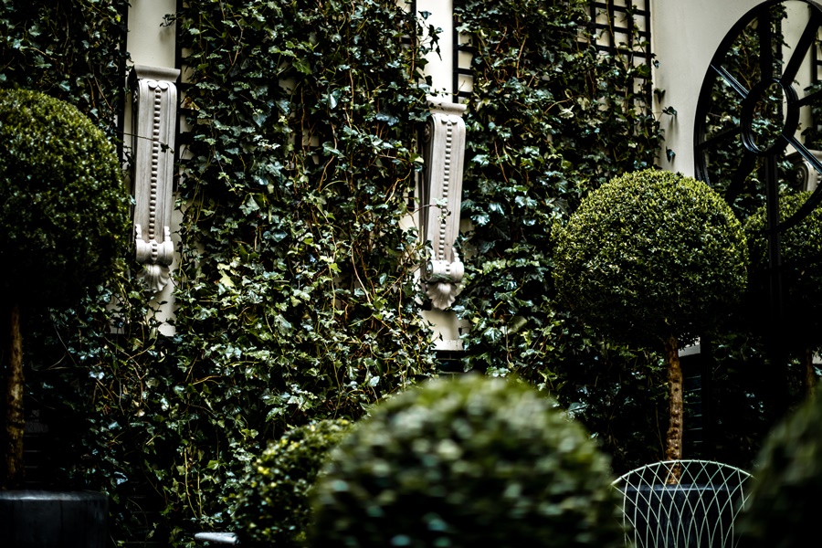 Fotos del hotel - Monsieur George-Champs Elysees