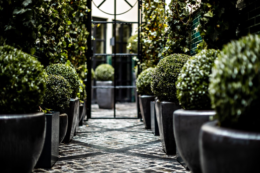 Fotos del hotel - Monsieur George-Champs Elysees