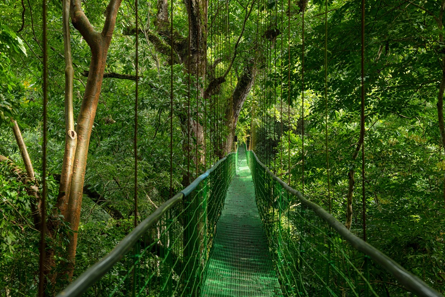Fotos del hotel - VILLA LAPAS JUNGLE VILLAGE - ALL INCLUSIVE