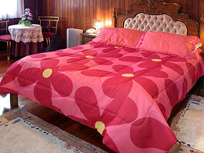 Fotos del hotel - HOTEL SHALLON