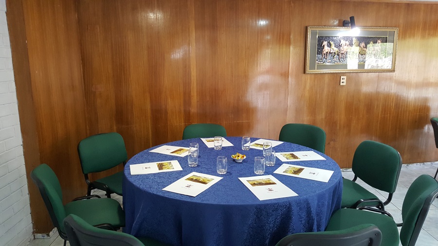 Fotos del hotel - WINDSOR SUITE