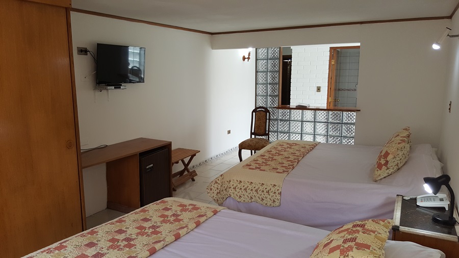 Fotos del hotel - WINDSOR SUITE