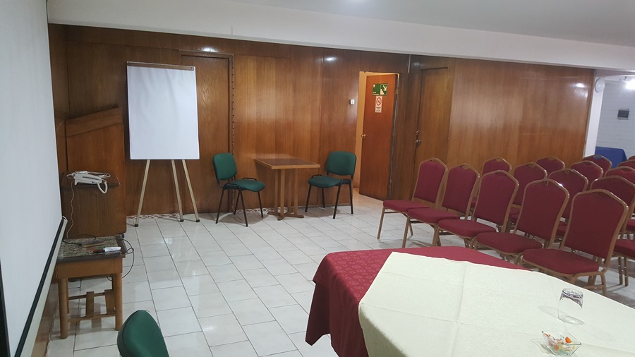 Fotos del hotel - WINDSOR SUITE