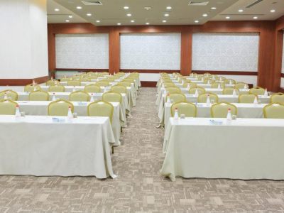 Fotos del hotel - LIMAK AMBASSADORE