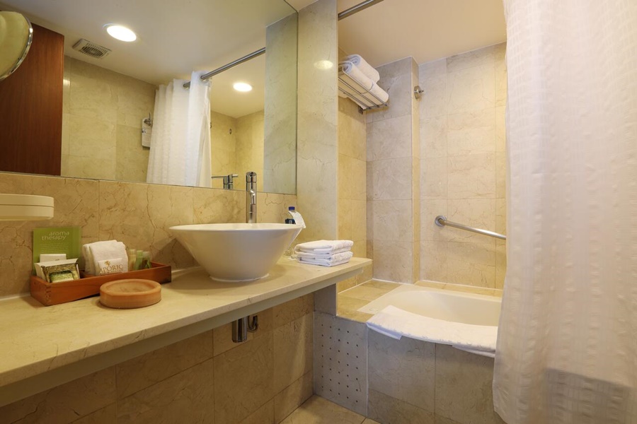 Fotos del hotel - EMPORIO MEXICO CITY