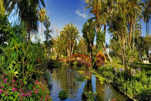 Botanico and The Oriental Spa Garden