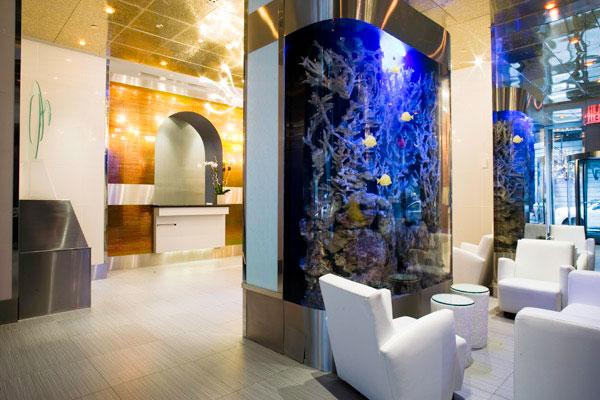 Fotos del hotel - OYO HOTEL TIMES SQUARE