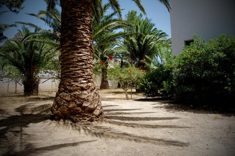 Fotos del hotel - AVRA PALM