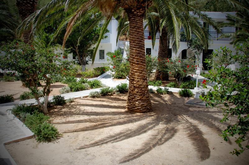 Fotos del hotel - AVRA PALM