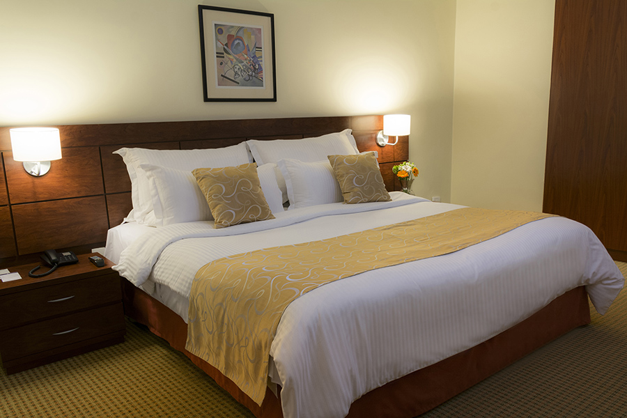 Fotos del hotel - CONTINENTAL ALTAMIRA