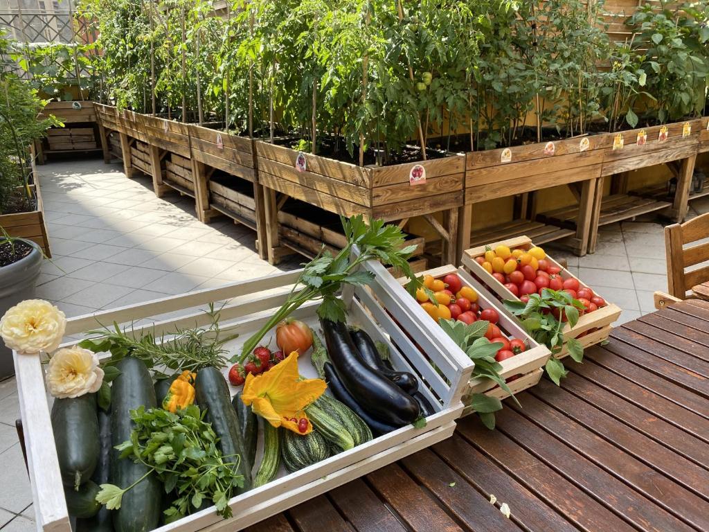 Fotos del hotel - TRILUSSA PALACE HOTEL WELLNESS AND SPA