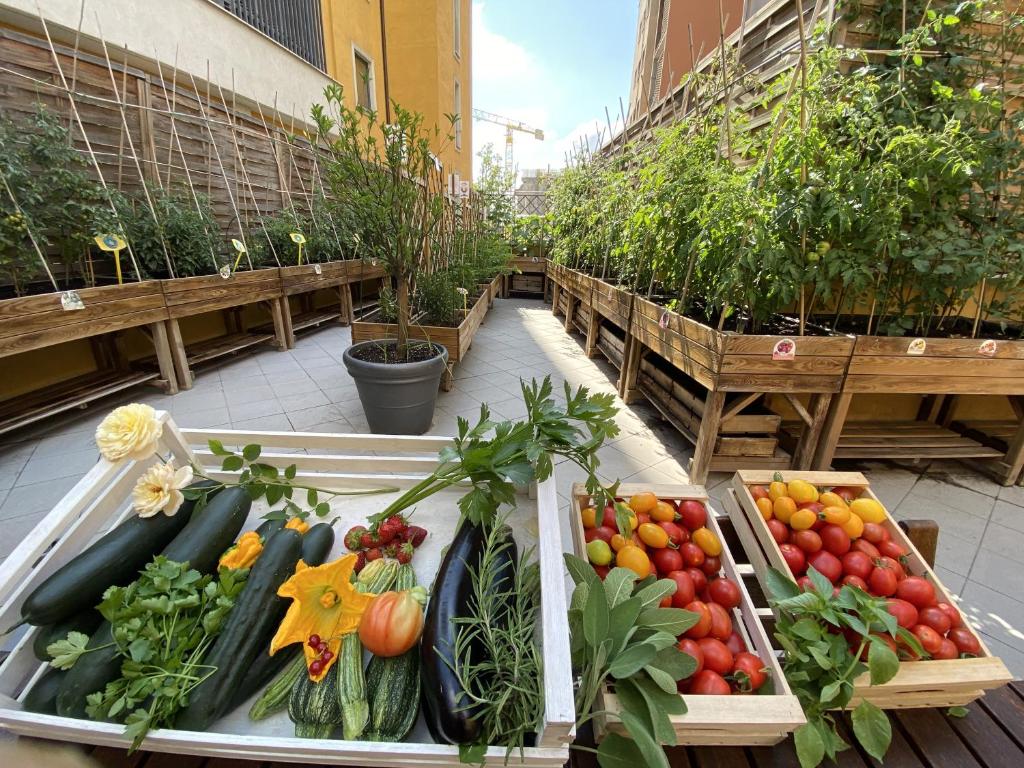 Fotos del hotel - TRILUSSA PALACE HOTEL WELLNESS AND SPA