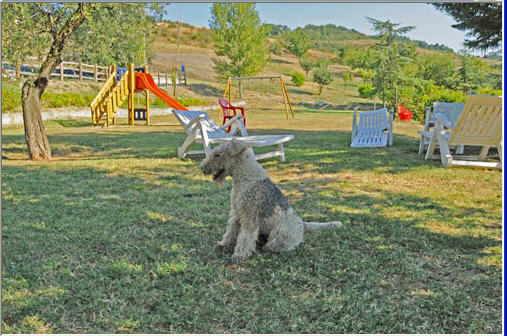 Fotos del hotel - AGRITURISMO POGGIO DUCA