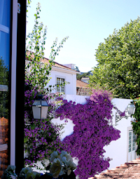 Fotos del hotel - Quinta De Vale Mourelos