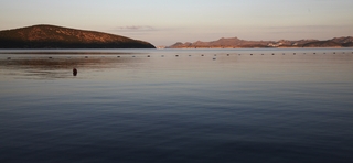 Fotos del hotel - Bodrum Holiday Resort and Spa